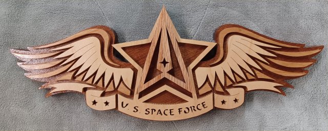 (image for) Special U. S. Space Force Wing